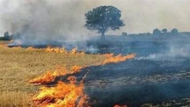 Photo of पराली जलाने की आग में झुलसता उत्तर भारत