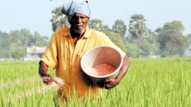 Photo of जैविक प्रमाणन का मकड़जाल: किसानों के भरोसे पर व्यापार का ताला