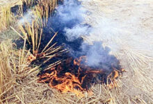 Photo of अब पराली बनी सियासत वाली