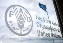 Photo of संयुक्त राष्ट्र खाद्य एवं कृषि संगठन की रिपोर्ट में भारत 10वें स्थान पर