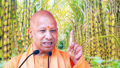 Photo of योगी का गन्ना मंत्र, किसानों को राहत और सहयोगियों संग चुनावी तालमेल की मिठास