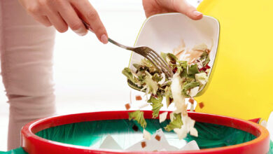 Photo of अन्न ब्रह्म है:अन्न की बर्बादी एक नैतिक अपराध है