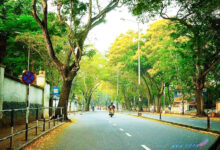 Photo of वायु प्रदूषण संकट के लिए प्रकृति-आधारित समाधान: स्वच्छ शहरों का एक हरा रास्ता