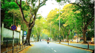 Photo of वायु प्रदूषण संकट के लिए प्रकृति-आधारित समाधान: स्वच्छ शहरों का एक हरा रास्ता