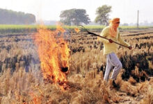 Photo of पराली जलाने की समस्या का संभावित हल