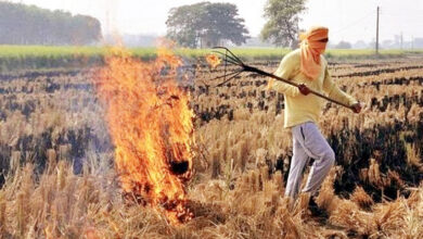 Photo of पराली जलाने की समस्या का संभावित हल