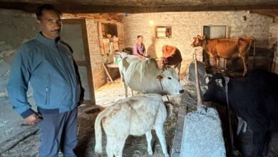 Photo of राष्ट्रीय गोपाल रत्न पुरस्कार 2025 के तहत जनपद चंपावत के प्रदीप पंगरिया को