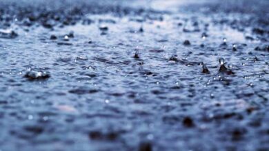 Photo of बादलों में मौजूद जहरीले तत्व और कीटनाशक बारिश की बूंदों के साथ पृथ्वी पर गिरते हैं और सभी चीजों को प्रदूषित कर रहे