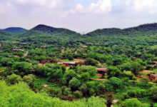 Photo of दिल्ली‑एनसीआर की हरियाली और सुरक्षा की ढाल अरावली पर्वतमाला को बचाने की निर्णायक लड़ाई