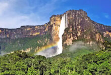 Photo of रक्षक बने भक्षक: अरावली से जोशीमठ तक मची विनाश की गूँज