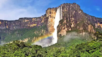 Photo of रक्षक बने भक्षक: अरावली से जोशीमठ तक मची विनाश की गूँज