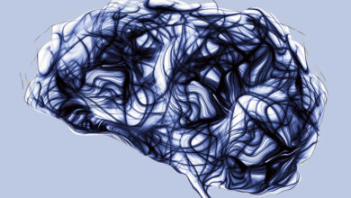 Photo of स्क्रॉल में खो गया: “ब्रेनरोट के निरंतर आहार” की कीमत