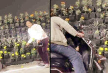 Photo of सरकारी संपत्ति की लूट,आम हो या खास सबकी बपौती