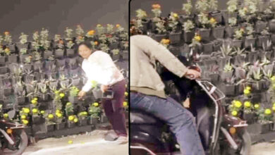 Photo of सरकारी संपत्ति की लूट,आम हो या खास सबकी बपौती