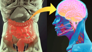 Photo of स्वस्थ मस्तिष्क, स्वस्थ शरीर: अटूट कनेक्शन