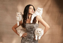 Photo of काशिका कपूर का गाउन, ग्लैमर और ग़ज़ब की नरमी