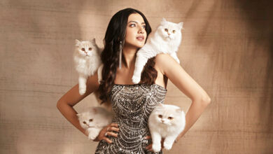 Photo of काशिका कपूर का गाउन, ग्लैमर और ग़ज़ब की नरमी