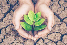 Photo of पर्यावरण संकट : नीतियों से नहीं, नागरिक चेतना से बचेगी प्रकृति