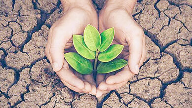 Photo of पर्यावरण संकट : नीतियों से नहीं, नागरिक चेतना से बचेगी प्रकृति