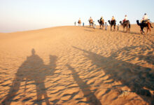 Photo of नए साल की आहट: राजस्थान, भारत और विश्व के लिए कितनी होगी कारगर