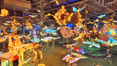 Photo of कल्याण में उतरी ‘झिंगवर्स’ की दुनिया, भारत के पहले ‘इमर्सिव यूनिवर्स’ का कल्याण में शुभारंभ