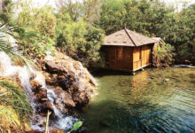 Photo of ट्री हाउस रिज़ॉर्ट जयपुर: गुलाबी शहर के बाहरी इलाके में प्रकृति गोद में स्थित शानदार स्थान