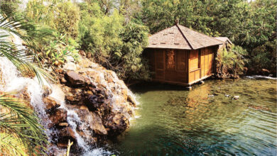 Photo of ट्री हाउस रिज़ॉर्ट जयपुर: गुलाबी शहर के बाहरी इलाके में प्रकृति गोद में स्थित शानदार स्थान