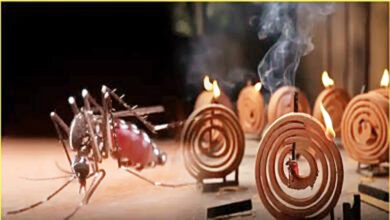 Photo of पश्चिम भारत में अवैध मच्छर-रोधी अगरबत्तियों का सबसे बड़ा बाज़ार बना महाराष्ट्र, गंभीर स्वास्थ्य संकट का खतरा बढ़ा