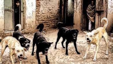 Photo of रेबीज से होने वाली मौतों को रोकने के लिए कड़ी कार्रवाई की जरुरत है