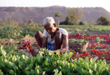 Photo of ‘बजट -26-27’ : बजट की बही में कहां हैं किसान ?