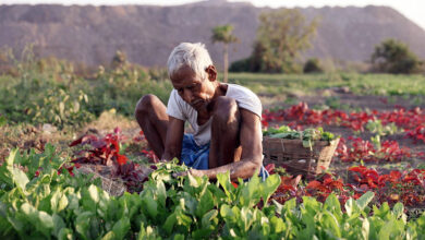 Photo of ‘बजट -26-27’ : बजट की बही में कहां हैं किसान ?
