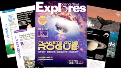 Photo of विज्ञान पत्रिका: युवा छात्रों में विकासशील मस्तिष्क की “शक्ति