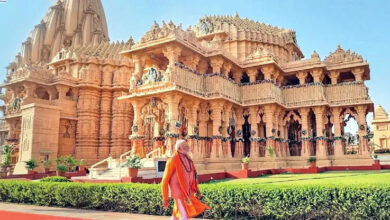 Photo of सोमनाथ स्वाभिमान पर्व को सकारात्मक दृष्टि से देखें