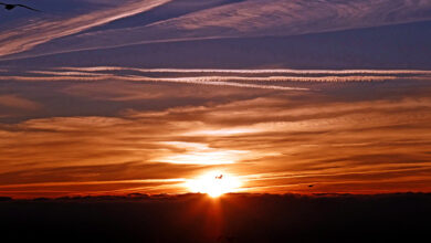 Photo of नूतन वर्ष: नए सपने, नई उम्मीदें