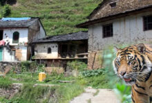Photo of उत्तराखंड में वन्यजीवों की दहशत