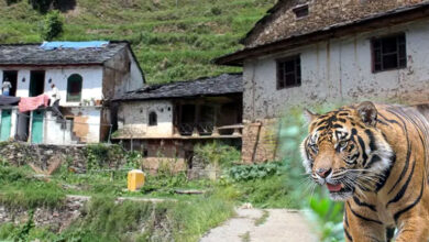 Photo of उत्तराखंड में वन्यजीवों की दहशत