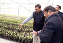 Photo of सीएस ने ली सगन्ध पौधा केन्द्र द्वारा किए जा रहे कार्यों की विस्तार से जानकारी