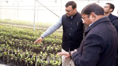 Photo of सीएस ने ली सगन्ध पौधा केन्द्र द्वारा किए जा रहे कार्यों की विस्तार से जानकारी