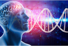 Photo of अपने मस्तिष्क को प्रशिक्षित करने का सबसे अच्छा तरीका