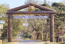 Photo of दुधवा की हरियाली में पर्यटन का नया अध्याय