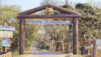 Photo of दुधवा की हरियाली में पर्यटन का नया अध्याय