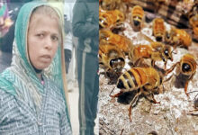 Photo of एक मां, बीस जिंदगियां और अमर बलिदान