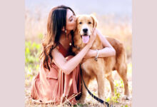 Photo of काशिका कपूर ने 15 आवारा कुत्तों को गोद लिया