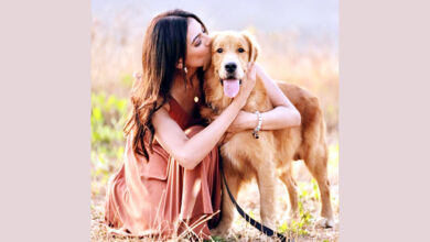 Photo of काशिका कपूर ने 15 आवारा कुत्तों को गोद लिया
