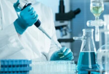 Photo of शोधकर्ताओं ने स्वस्थ उम्र बढ़ने के लिए नए अनुसंधान विकल्पों की खोज की