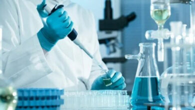 Photo of शोधकर्ताओं ने स्वस्थ उम्र बढ़ने के लिए नए अनुसंधान विकल्पों की खोज की