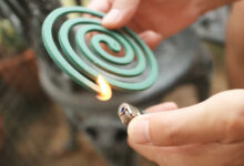 Photo of मच्छर भगाने वाली अगरबत्ती खरीदते समय इन 5 बातों का रखें ध्यान