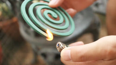 Photo of मच्छर भगाने वाली अगरबत्ती खरीदते समय इन 5 बातों का रखें ध्यान