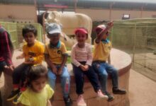 Photo of डोड्डाकुंडी गौशाला में प्ले किड स्कूल का शैक्षणिक भ्रमण