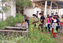 Photo of स्कूल से परे: दीवारों के बिना सीखना